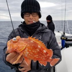 ソルトウォーターガイドフレンズ 釣果