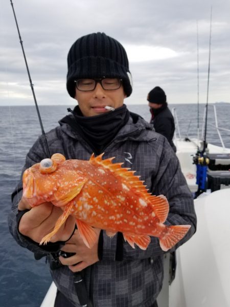 ソルトウォーターガイドフレンズ 釣果