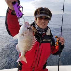 ソルトウォーターガイドフレンズ 釣果