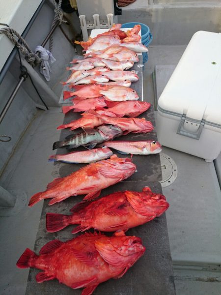 エンペラー 釣果