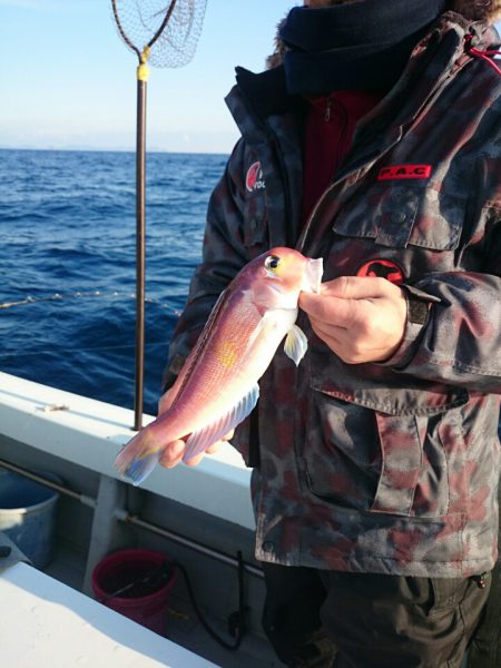 エンペラー 釣果