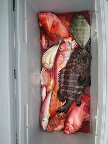 エンペラー 釣果