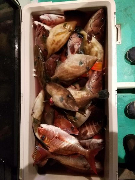 富士丸 釣果