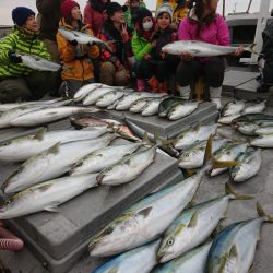 ありもと丸 釣果