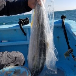 みやけ丸 釣果