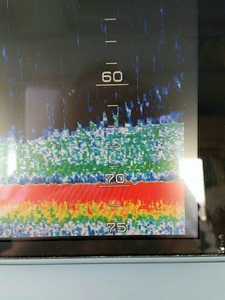 金沢八景鴨下丸 釣果