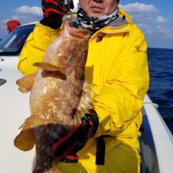 ソルトウォーターガイドフレンズ 釣果