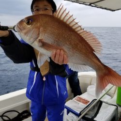ソルトウォーターガイドフレンズ 釣果