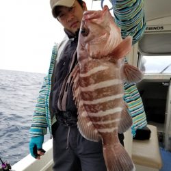 ソルトウォーターガイドフレンズ 釣果