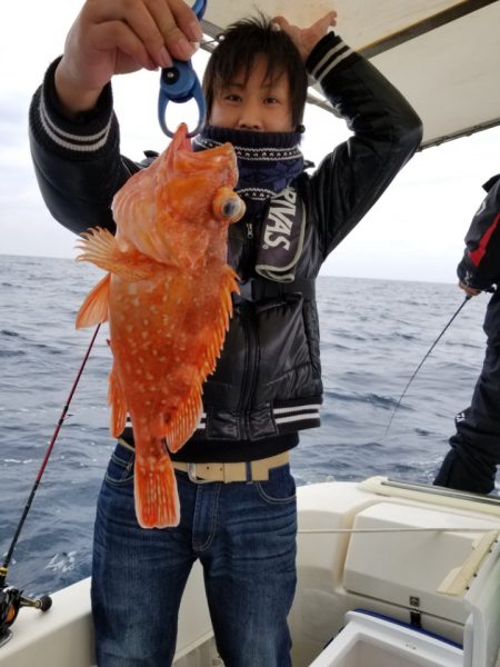 ソルトウォーターガイドフレンズ 釣果