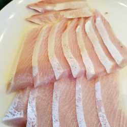 アマテラス 釣果