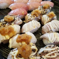 アマテラス 釣果