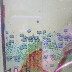 海龍丸(島根) 釣果