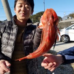 みやけ丸 釣果