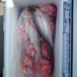 エンペラー 釣果