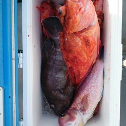 エンペラー 釣果