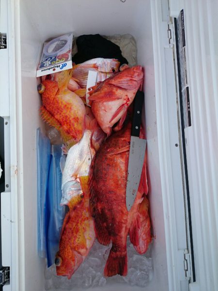 エンペラー 釣果