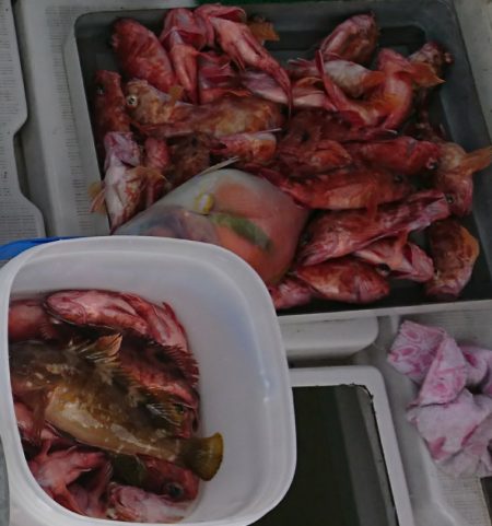 遊漁船 家入 釣果