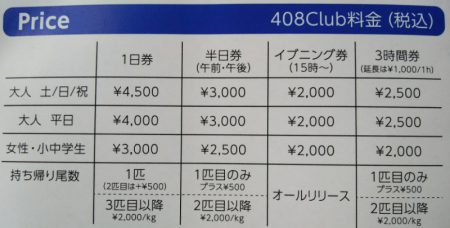408Club 釣果