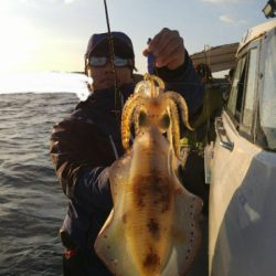 ソルトウォーターガイドフレンズ 釣果