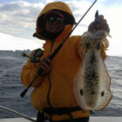 ソルトウォーターガイドフレンズ 釣果