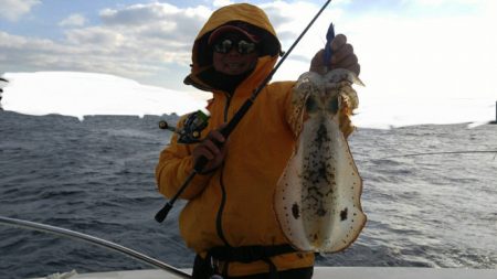 ソルトウォーターガイドフレンズ 釣果