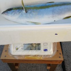 第二龍勢丸 釣果