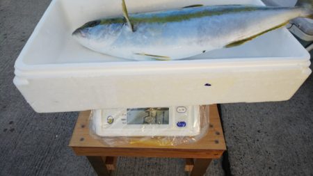 第二龍勢丸 釣果