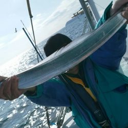 小島丸 釣果