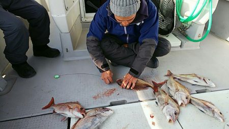 タイラバ遊漁船 ワンピース 釣果