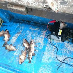 海龍丸（石川） 釣果