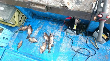 海龍丸（石川） 釣果