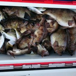 海龍丸（石川） 釣果