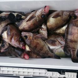 海龍丸（石川） 釣果