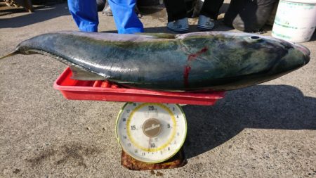 第三共栄丸 釣果