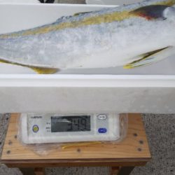 第二龍勢丸 釣果