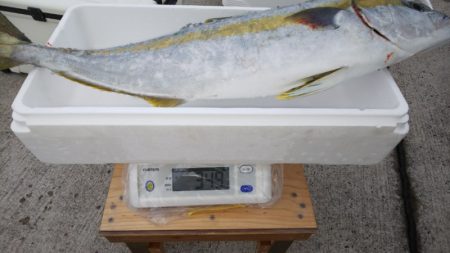 第二龍勢丸 釣果