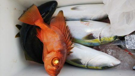 第二龍勢丸 釣果