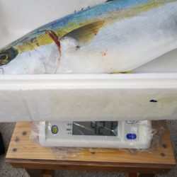 第二龍勢丸 釣果