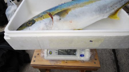 第二龍勢丸 釣果