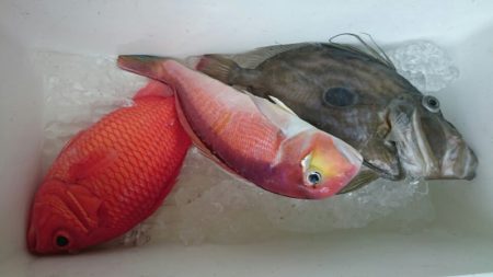 海龍丸（石川） 釣果