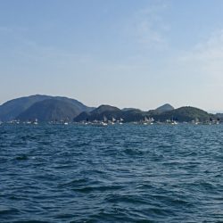 遊漁船　家入 釣果