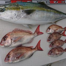 遊漁船 家入 釣果