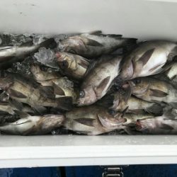 海龍丸（石川） 釣果