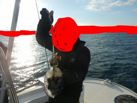 きずなまりん 釣果