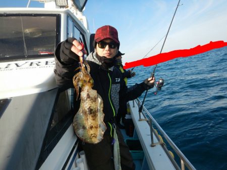 きずなまりん 釣果