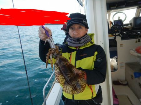 きずなまりん 釣果