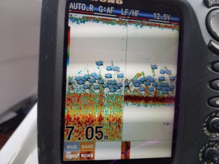 海龍丸（島根） 釣果