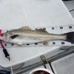 海龍丸(島根) 釣果