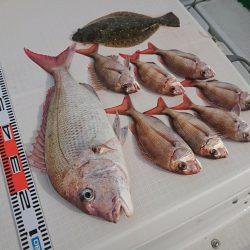 遊漁船 家入 釣果